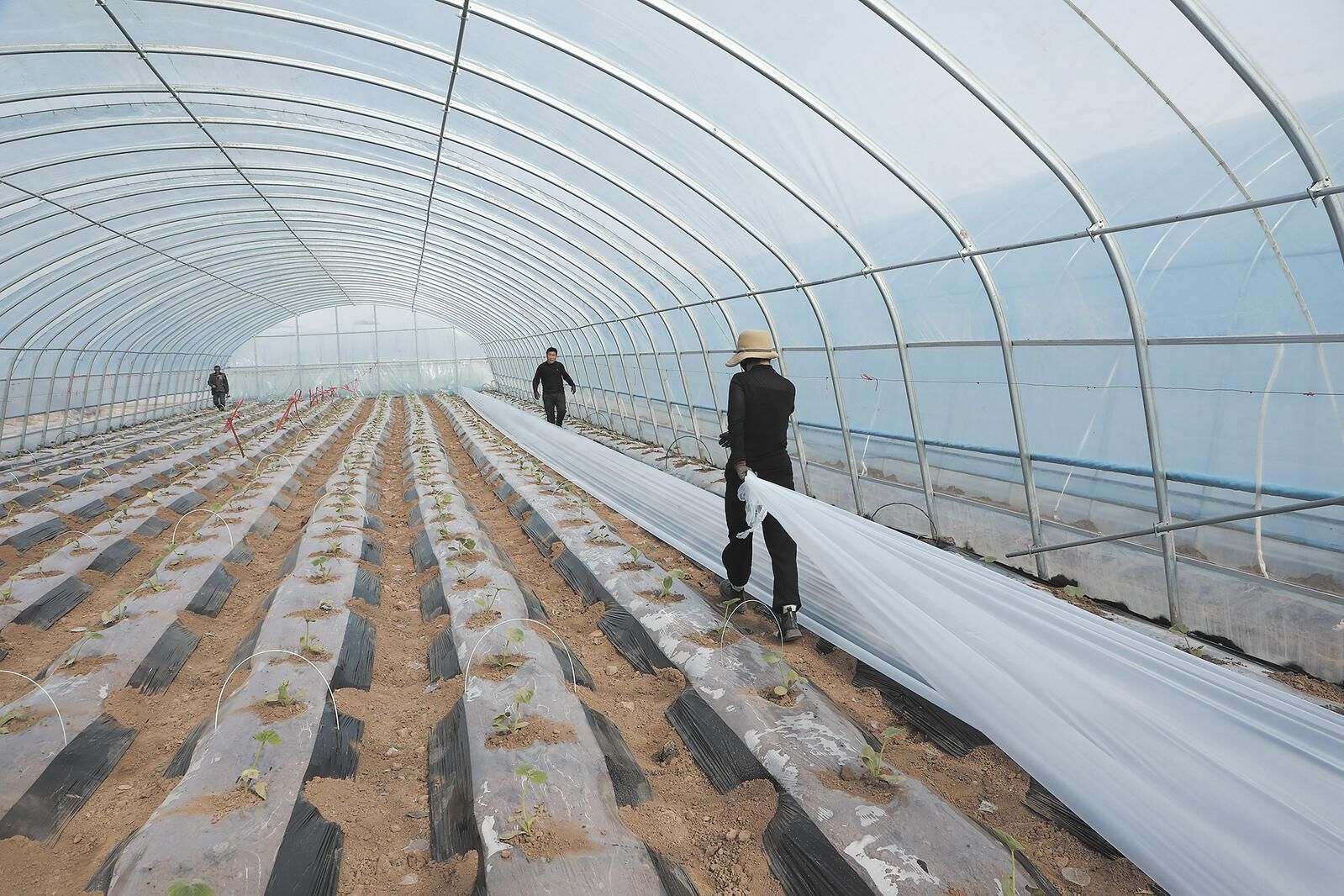 QQ�DƬ20250325060426