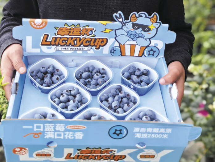 ��һ�����¡���ԭ�ϵġ��{(l��n)���`��