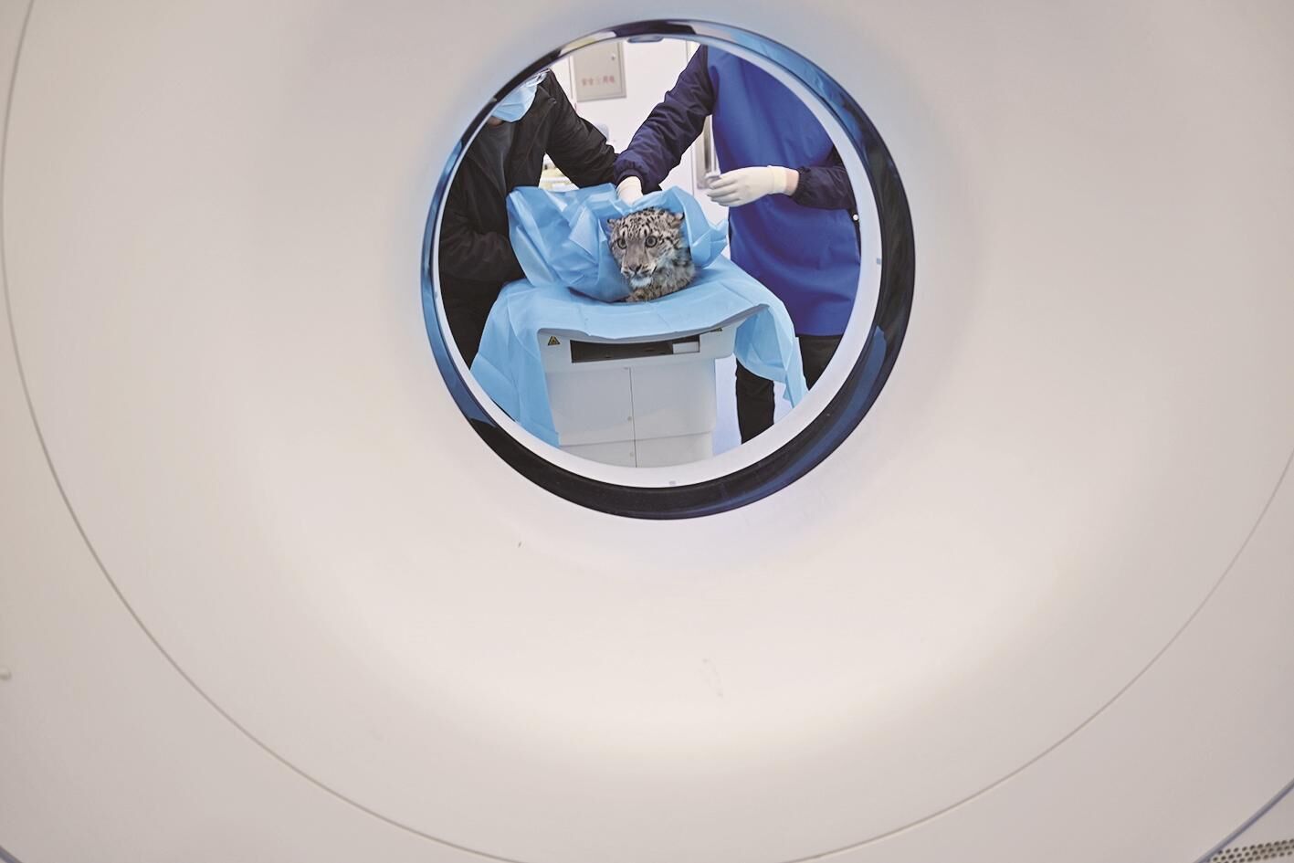 QQ�DƬ20250327062807