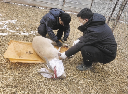 ΢�Ž؈D_20250331065059