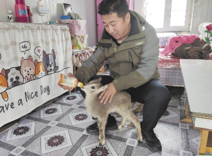 ΢�Ž؈D_20250331065155