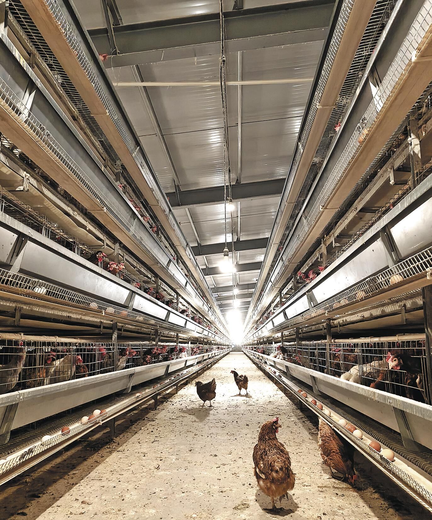 QQ�DƬ20250402055734