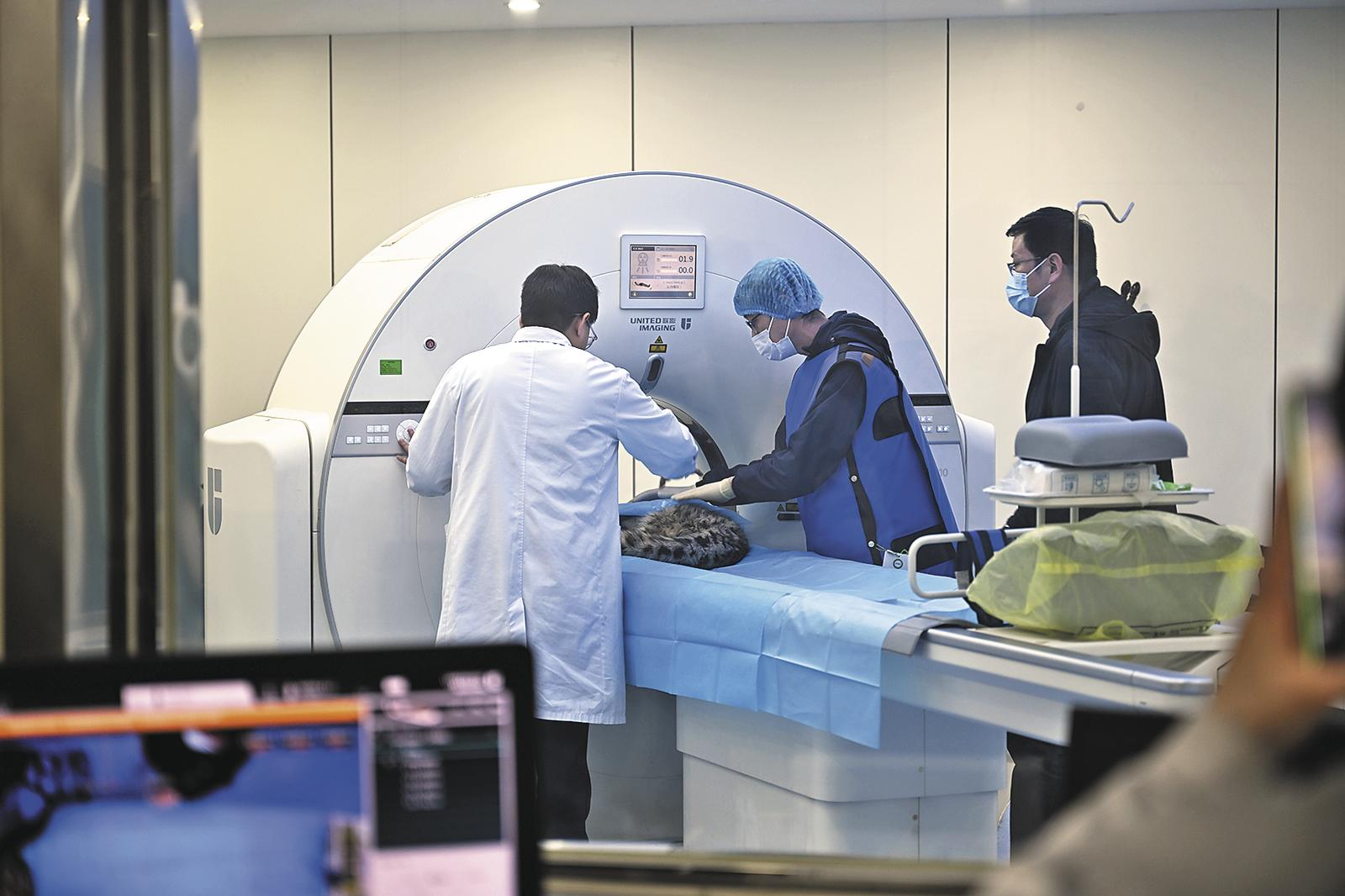 QQ�DƬ20250402061100