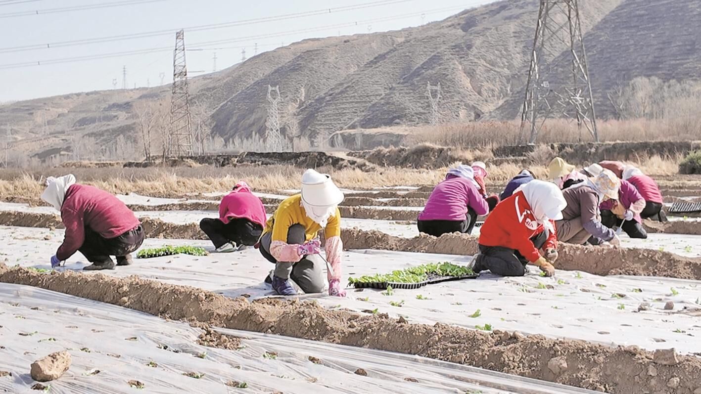 QQ�DƬ20250411061441