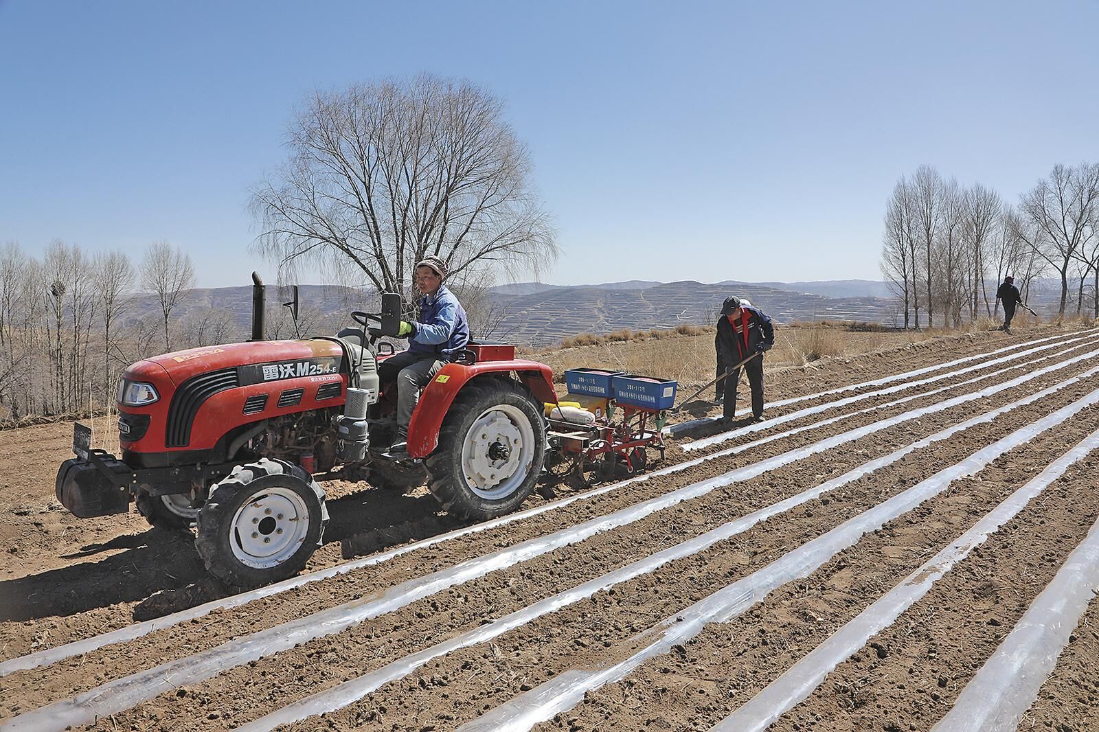 QQ�DƬ20250415061031