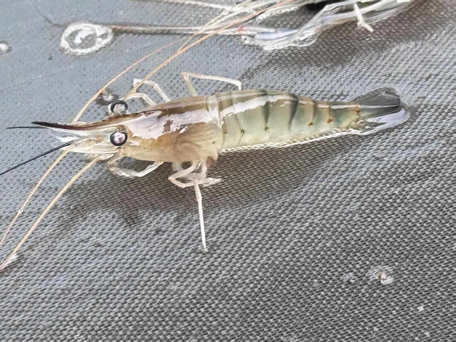 QQ�DƬ20250417061240