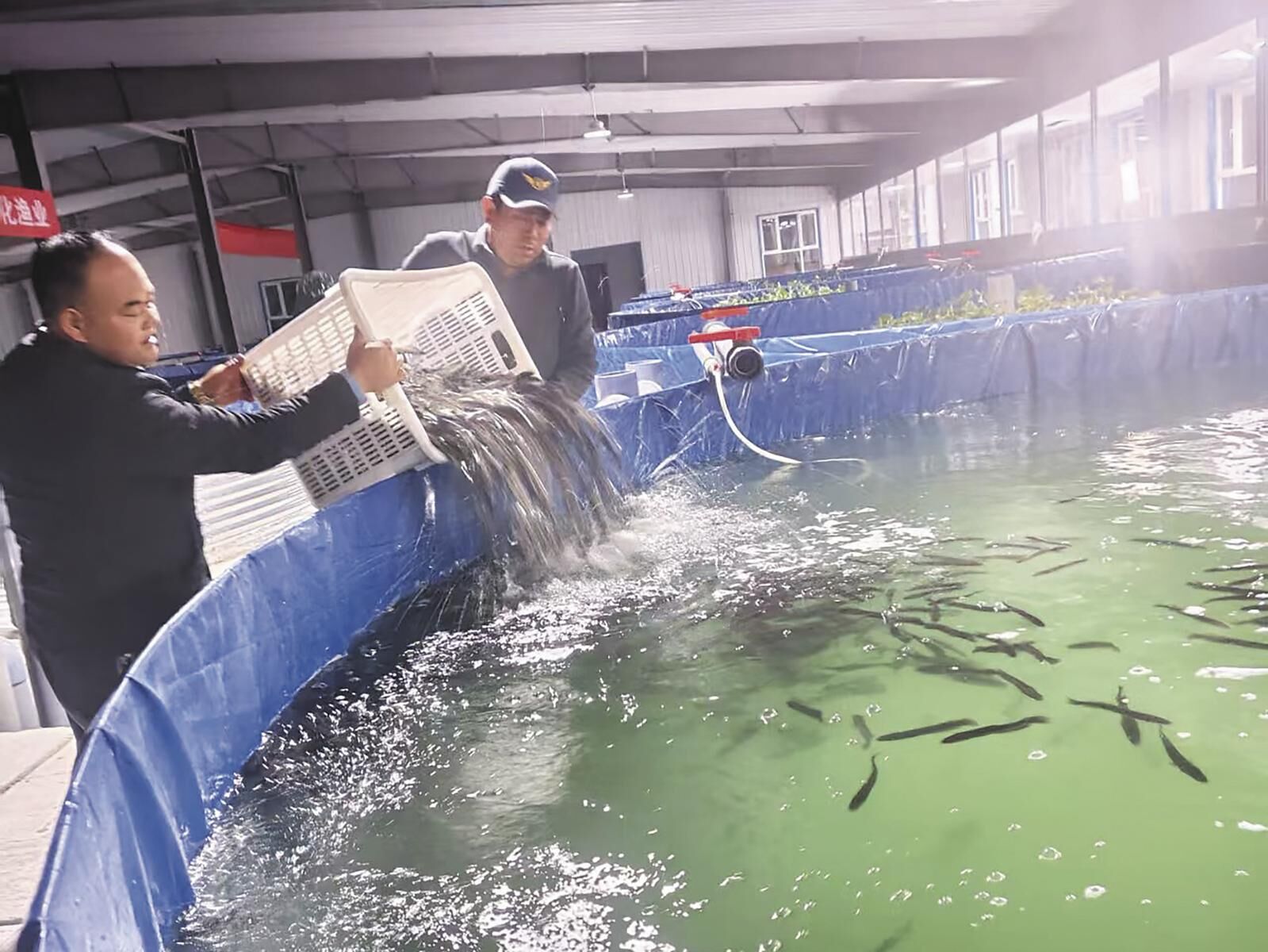 QQ�DƬ20250417061247