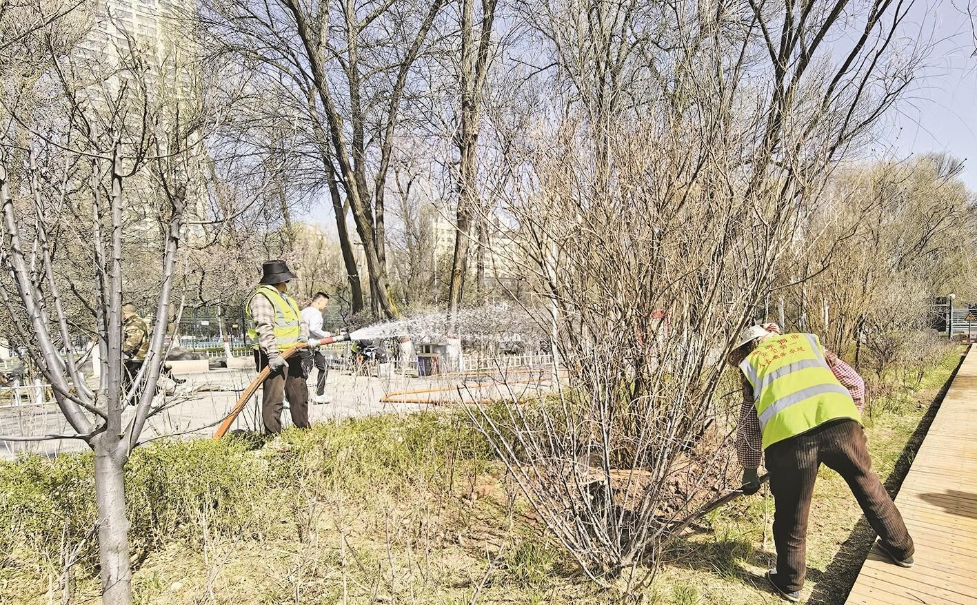 QQ�DƬ20250417062604