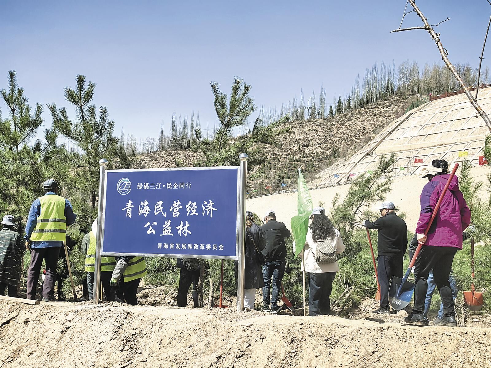 QQ�DƬ20250419062054