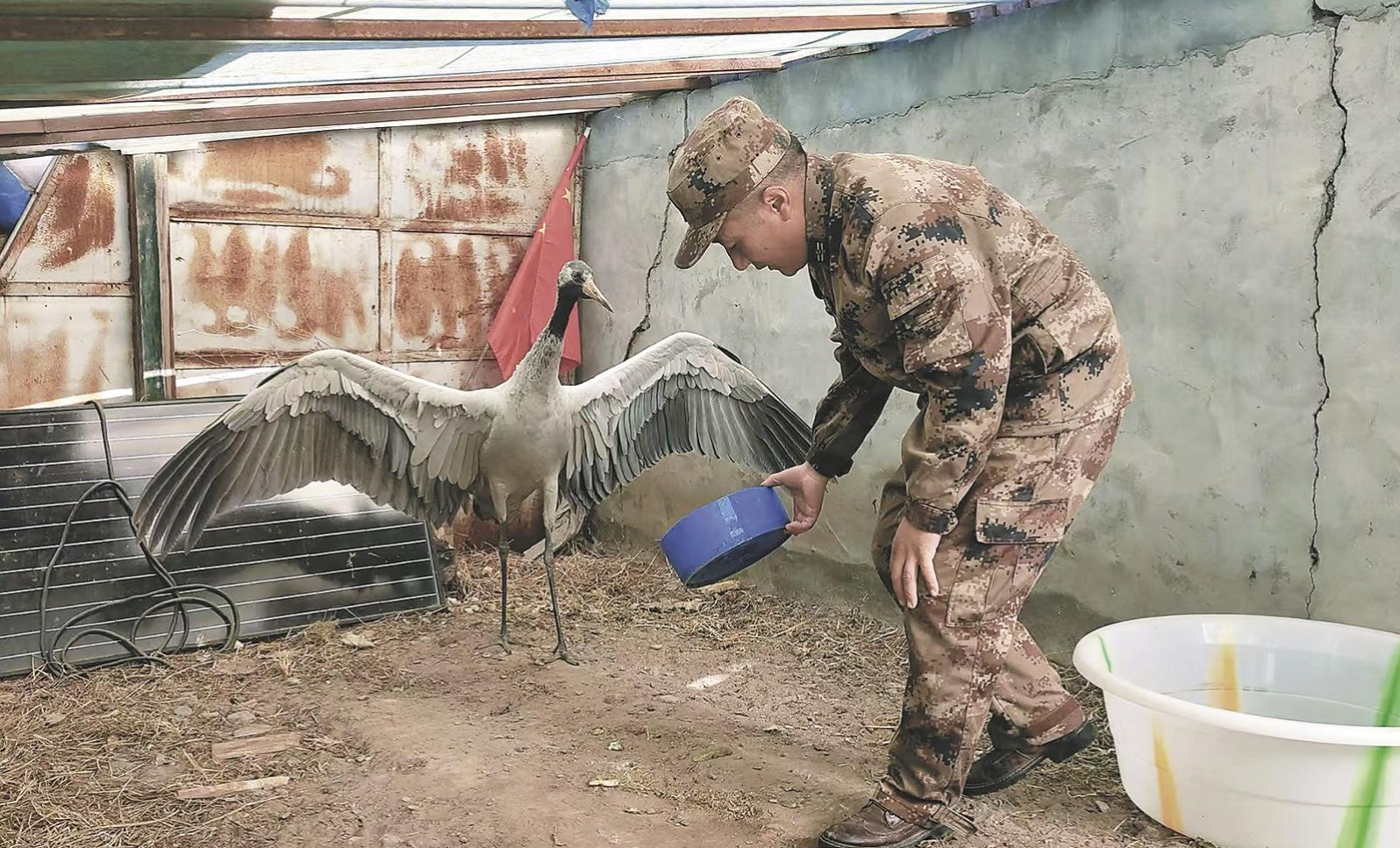 ΢�Ž؈D_20250420053105