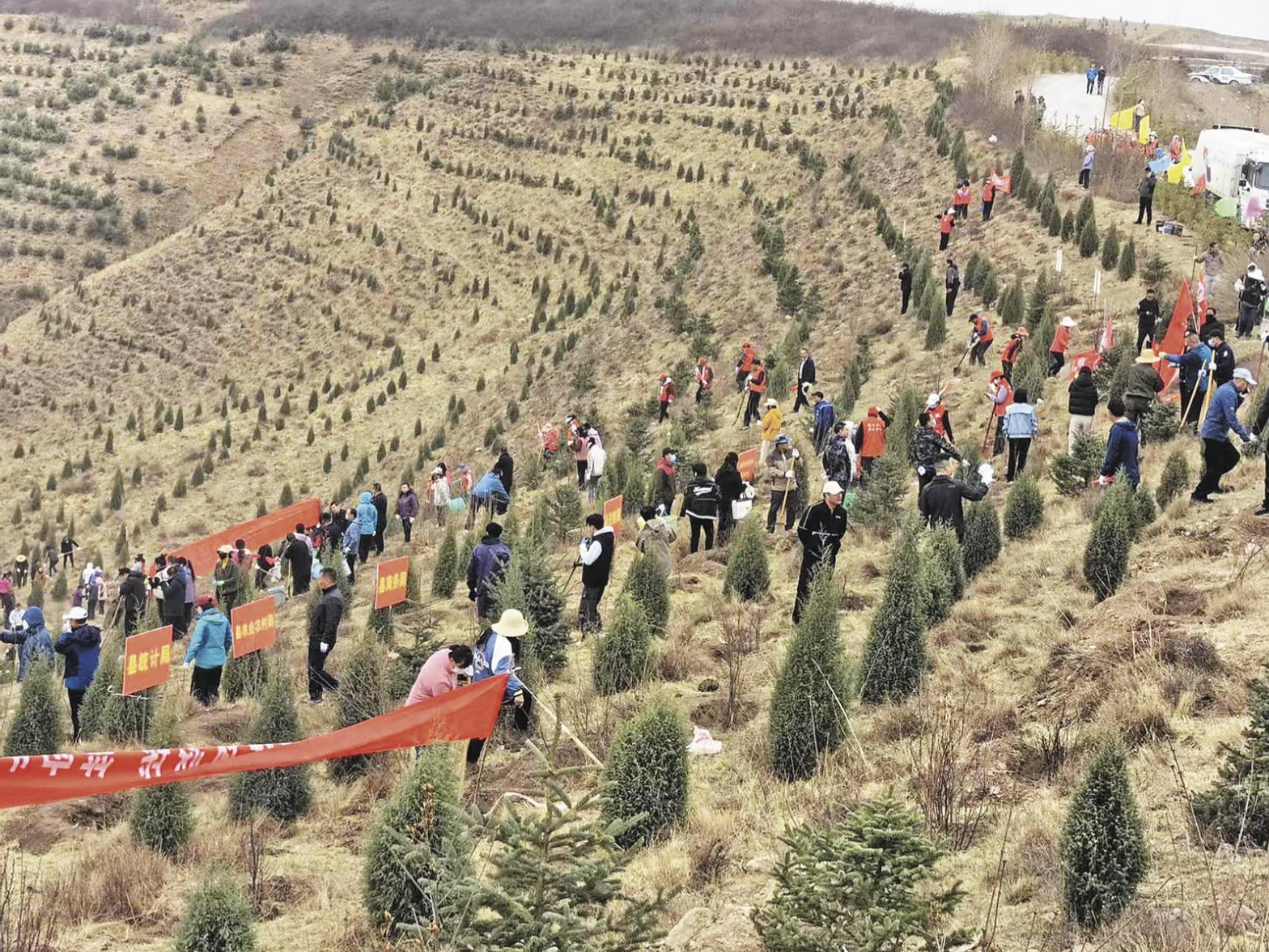 ΢�Ž؈D_20250420054524