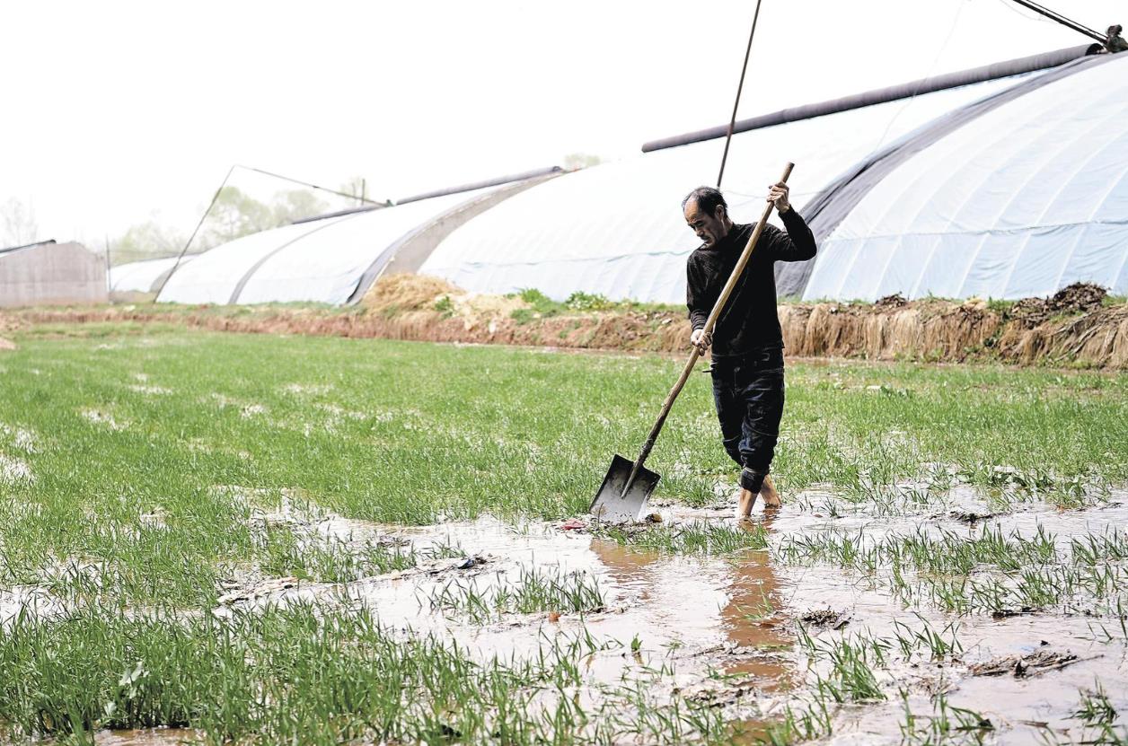 【堅定信心 實(shí)干爭先】不負(fù)農(nóng)時 忙春灌