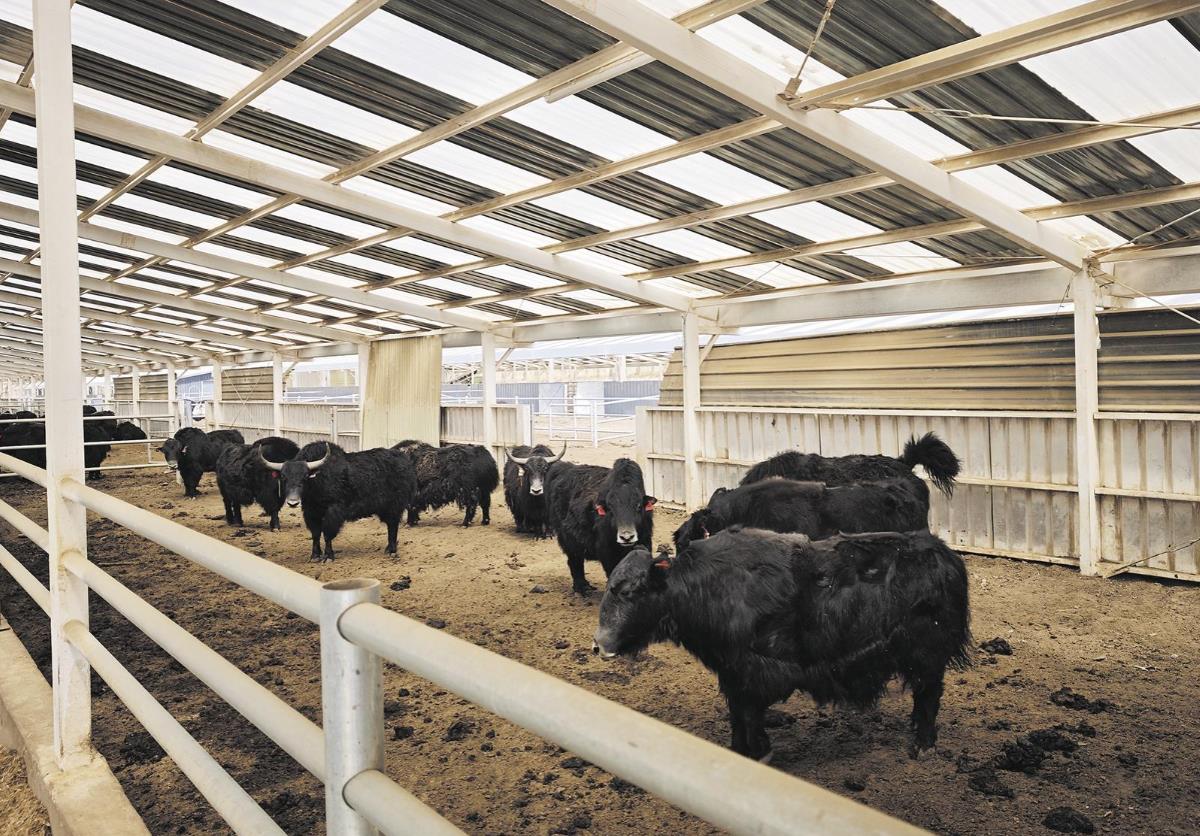 �ຣƽ����������ţ�Bֳ���r����