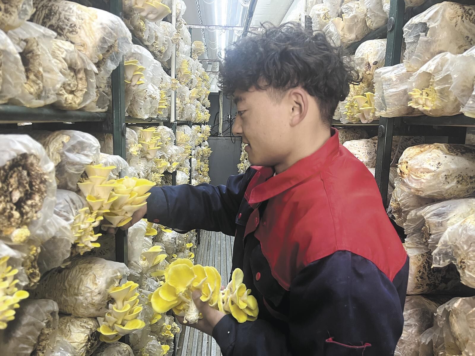 QQ�DƬ20250425063420