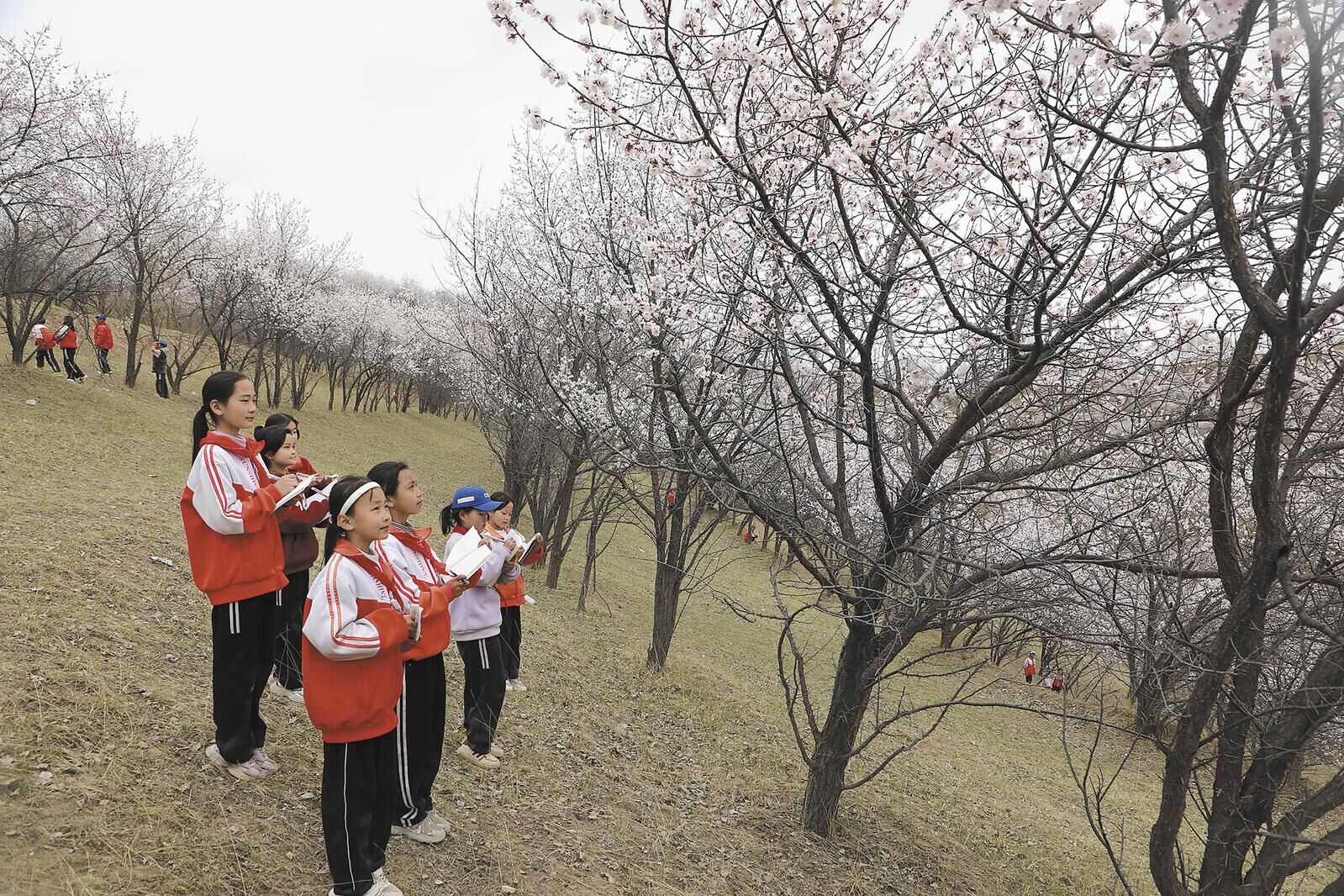 QQ�DƬ20250425064200