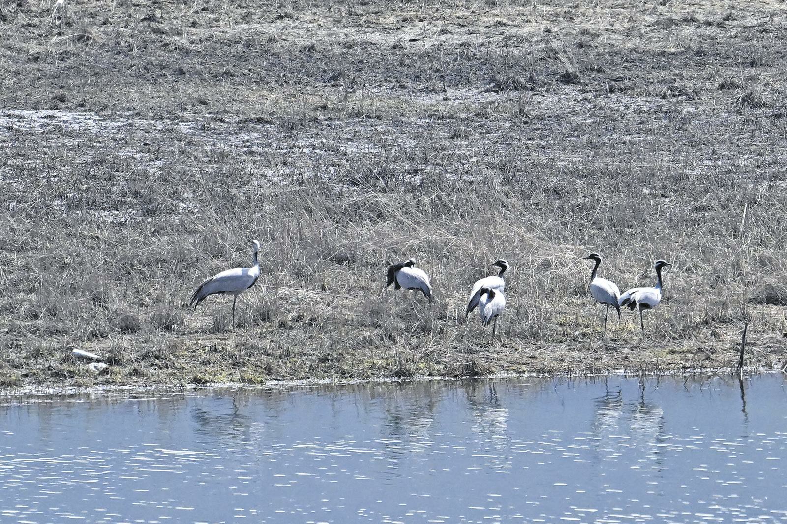 �ຣ�������T�{���ҝ�ع��@�״ΰl�F�����Q