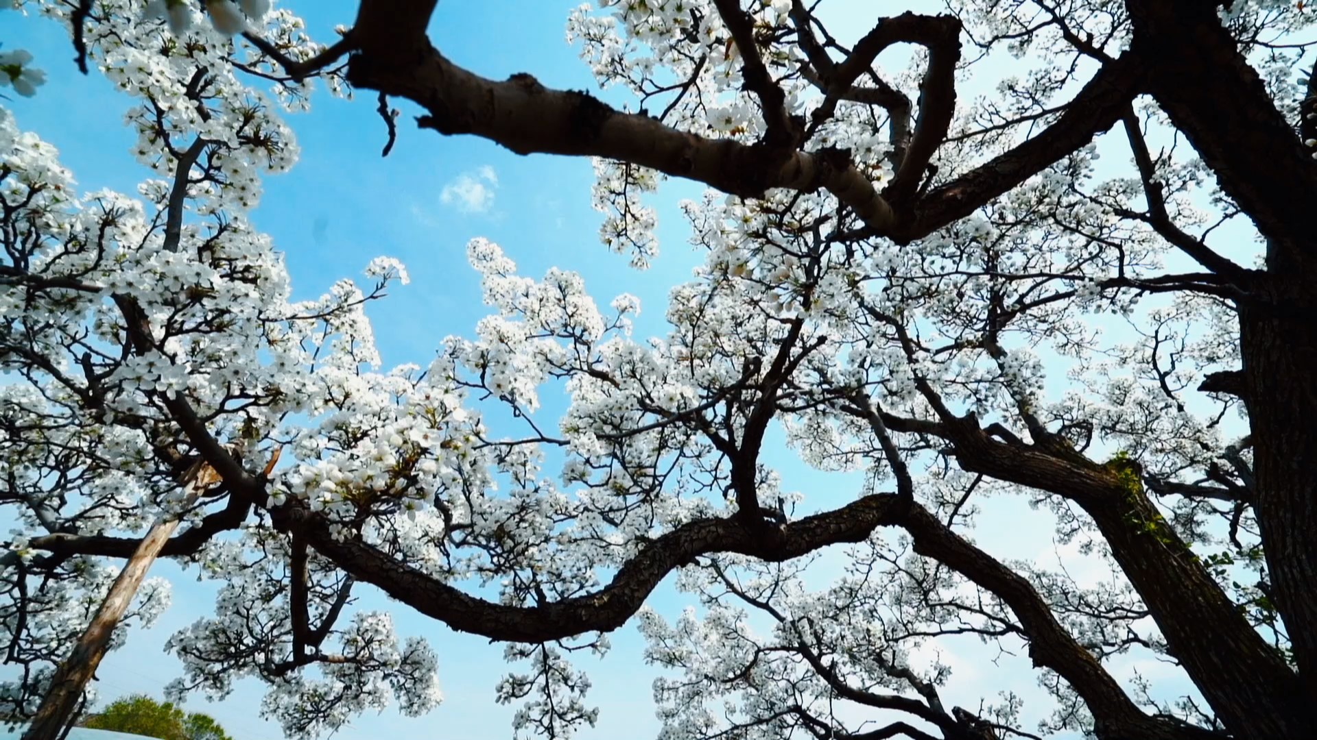 ΢�ňDƬ_20250427181610