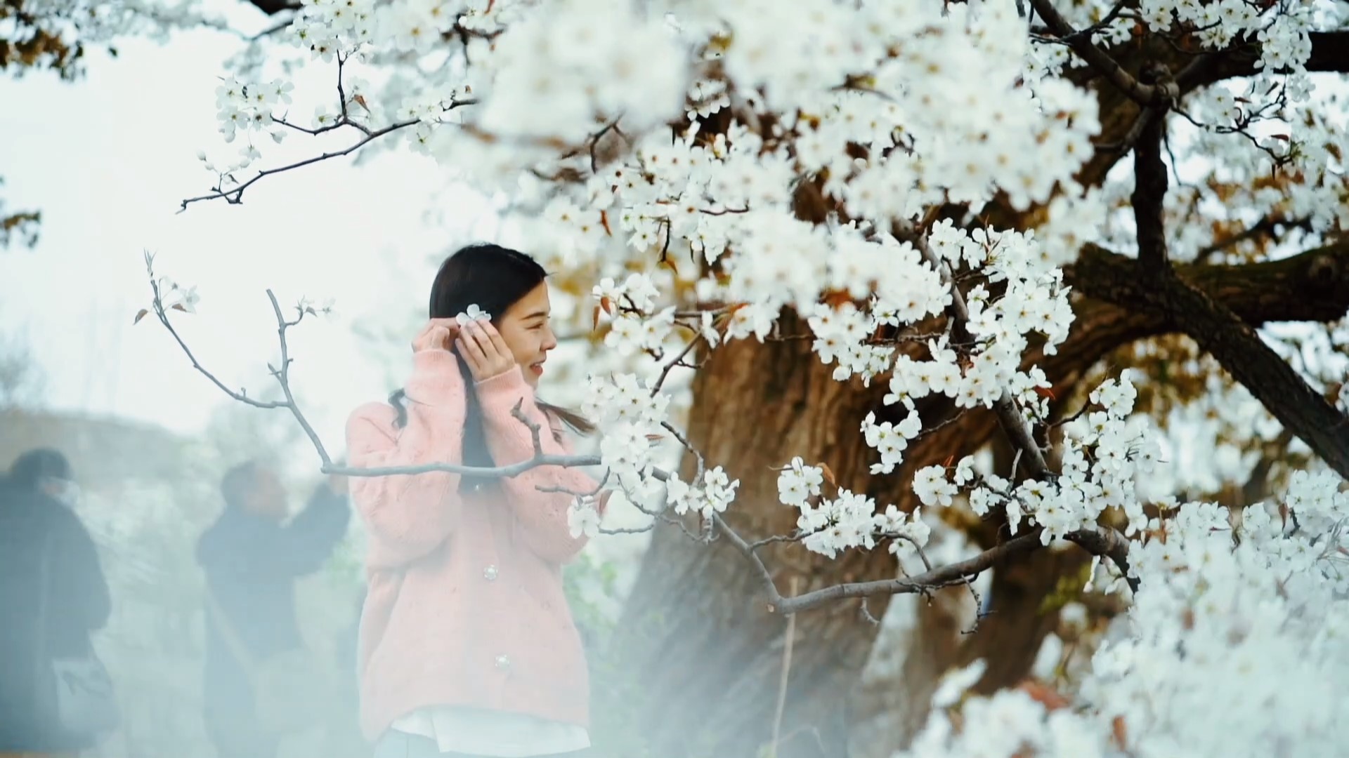 ΢�ňDƬ_20250427181625