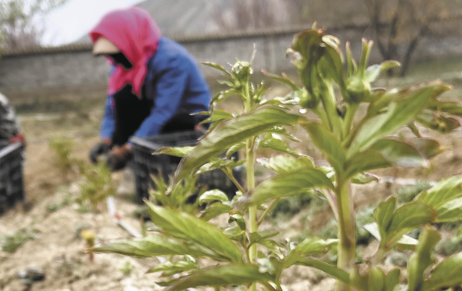 QQ�DƬ20250428053721