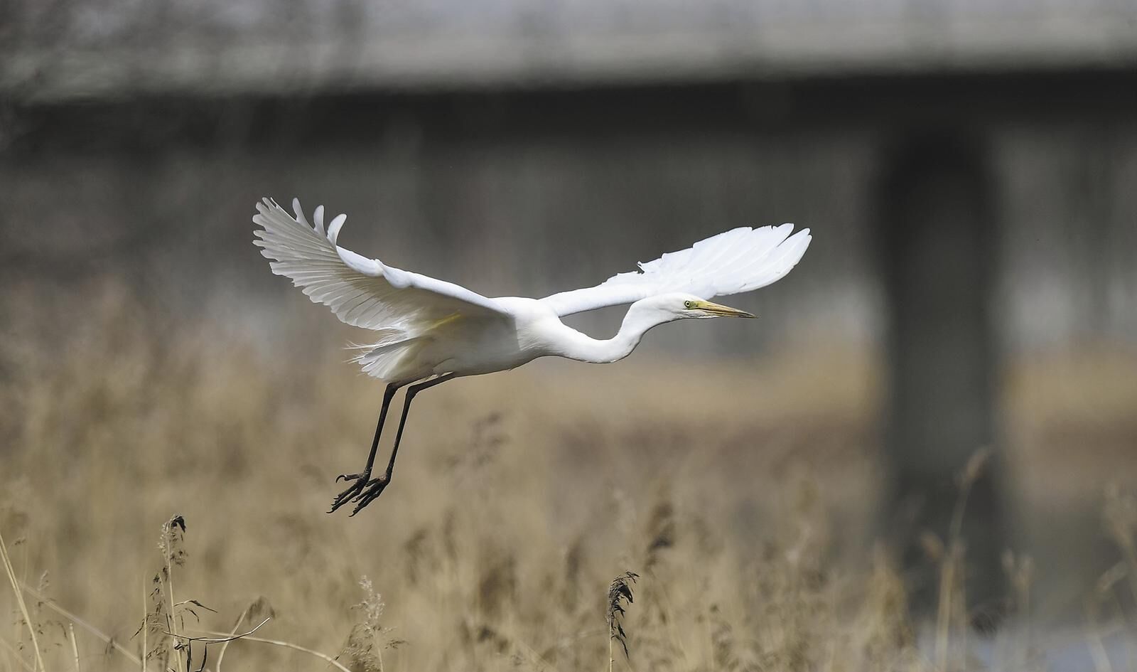 QQ�DƬ20250428060352