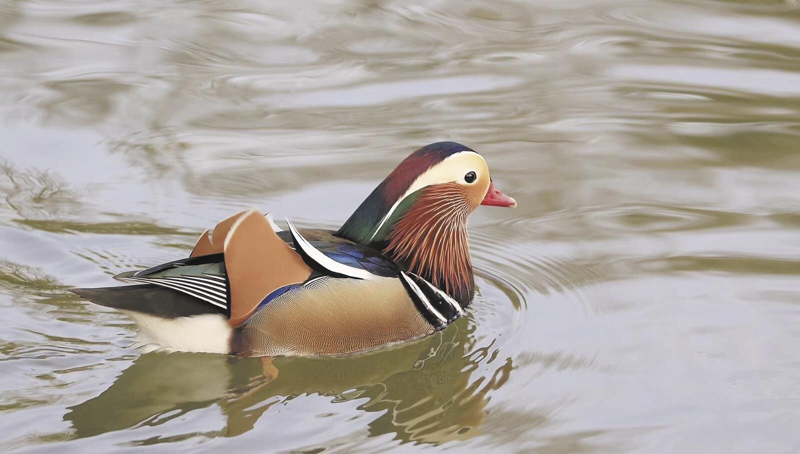 QQ�DƬ20250428060407