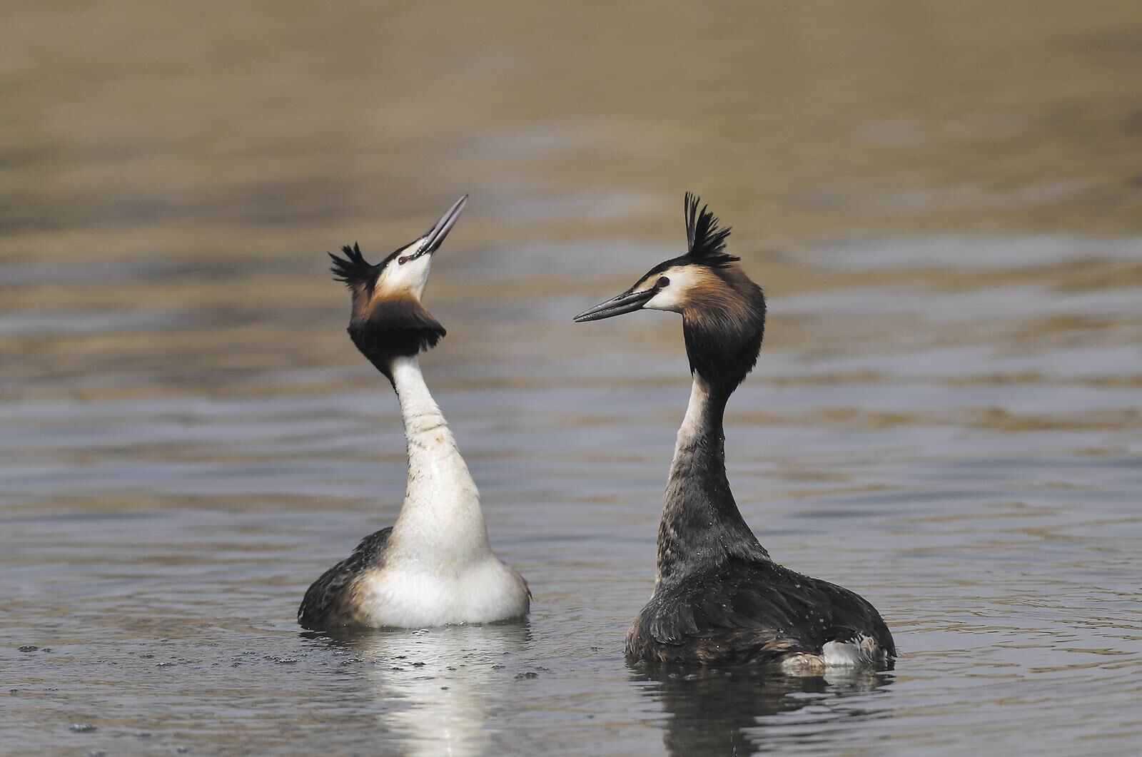 QQ�DƬ20250428060422