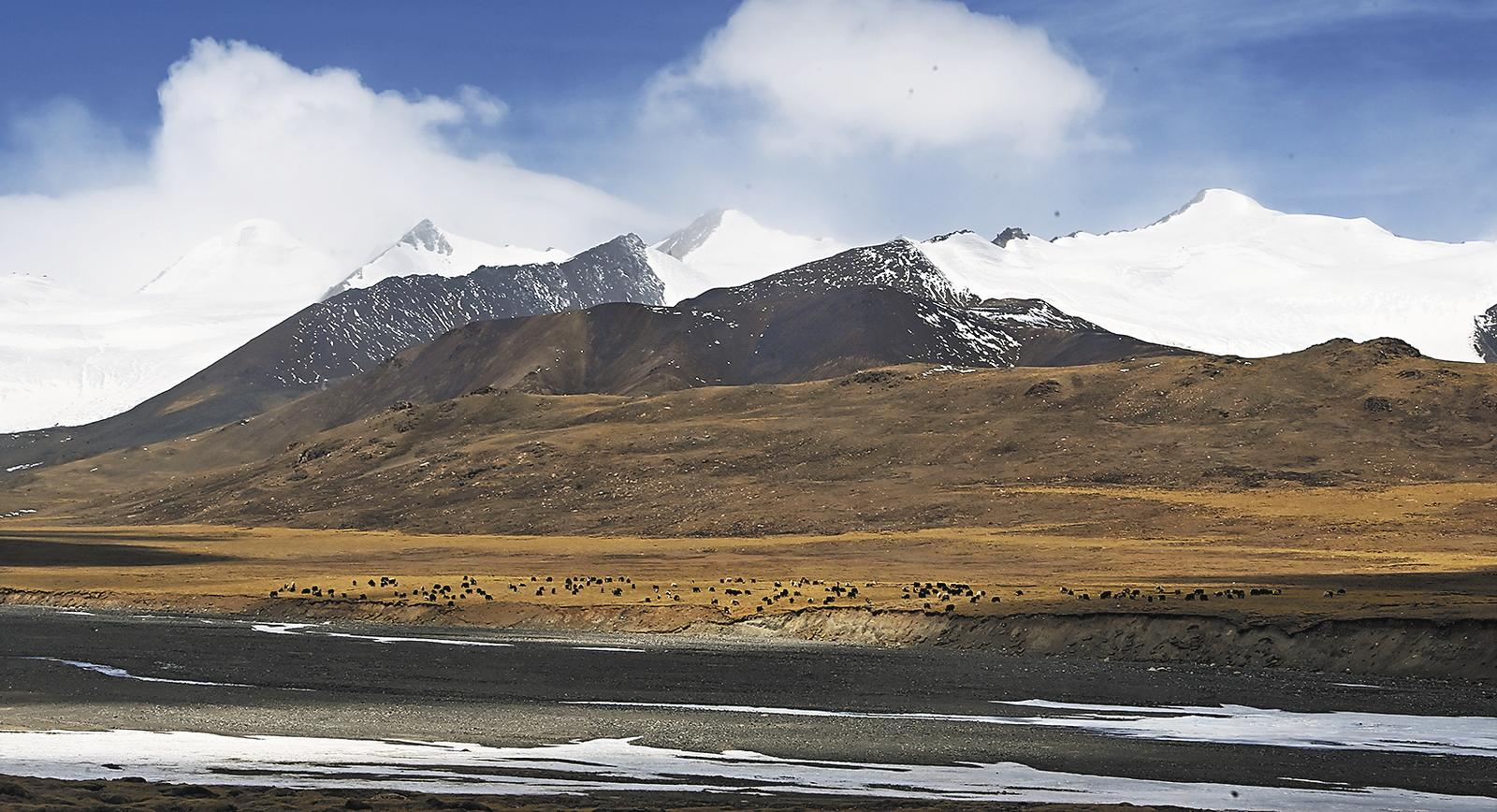 QQ�DƬ20250430062128