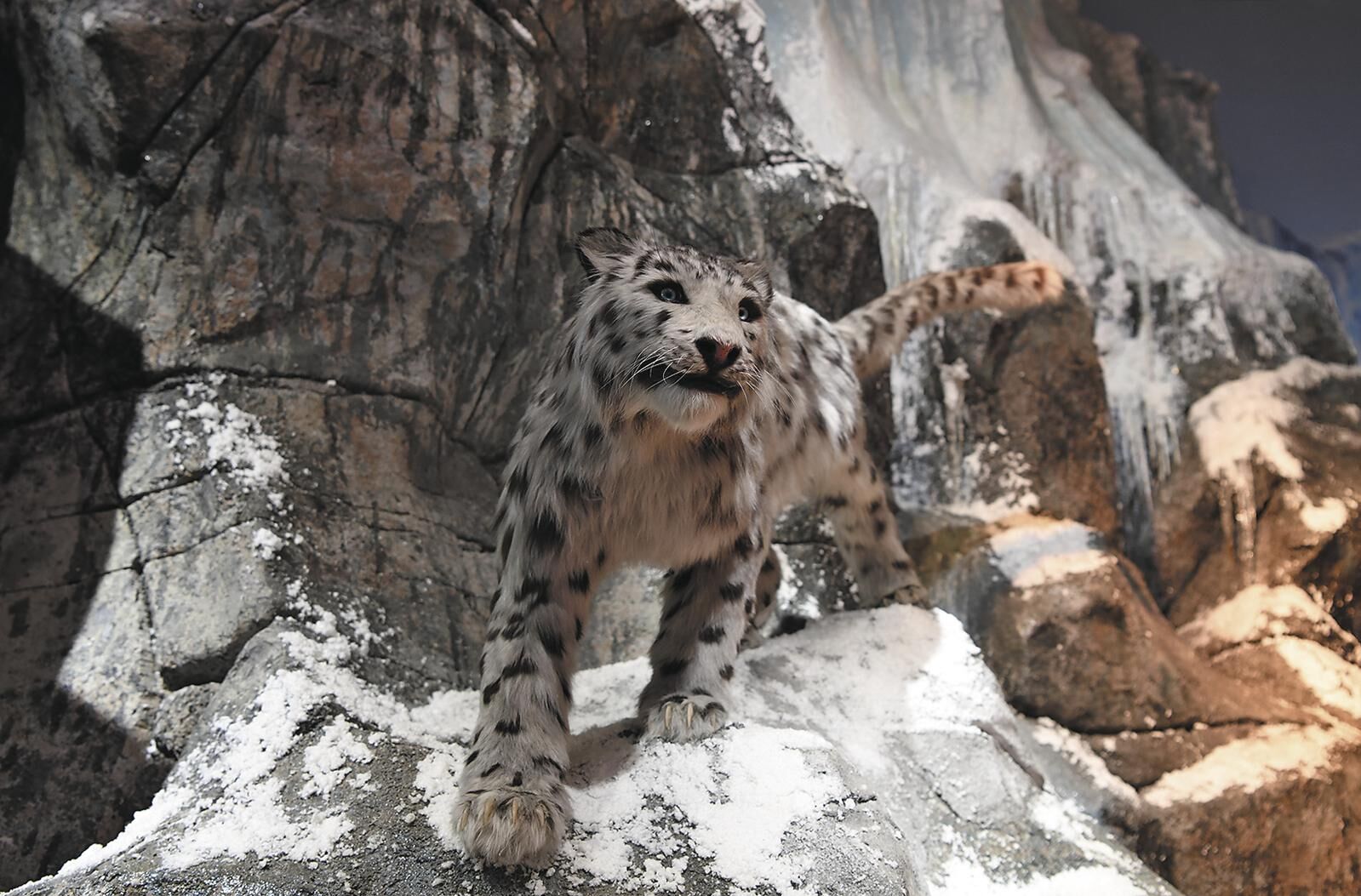 QQ�DƬ20250513054124