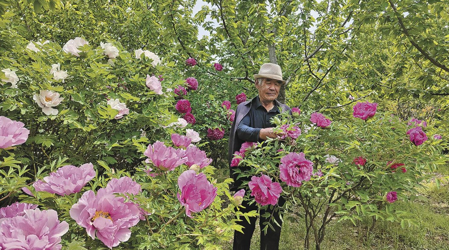 ���l(xi��ng)�����d���ຣ����ͣ��x��ĵ�����򿨵����r(n��ng)����