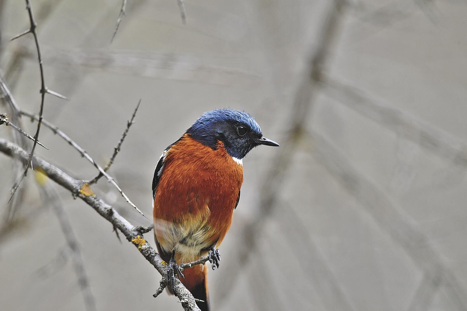 QQ�DƬ20250515054900