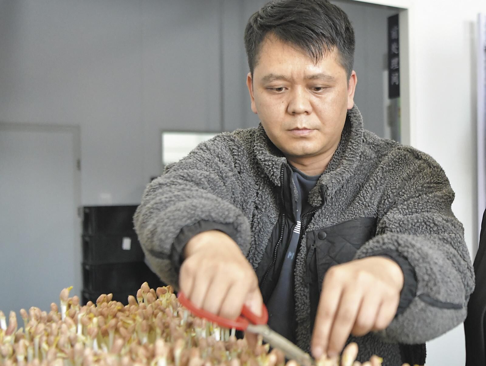 QQ�DƬ20250517055919