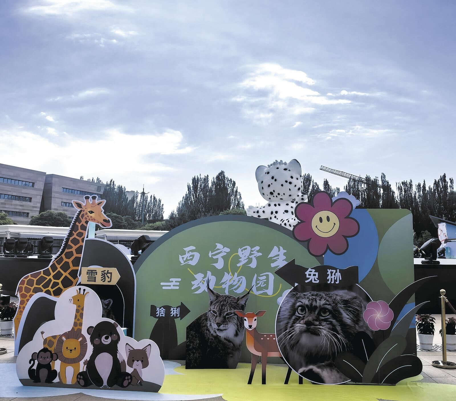 QQ�DƬ20250523060122