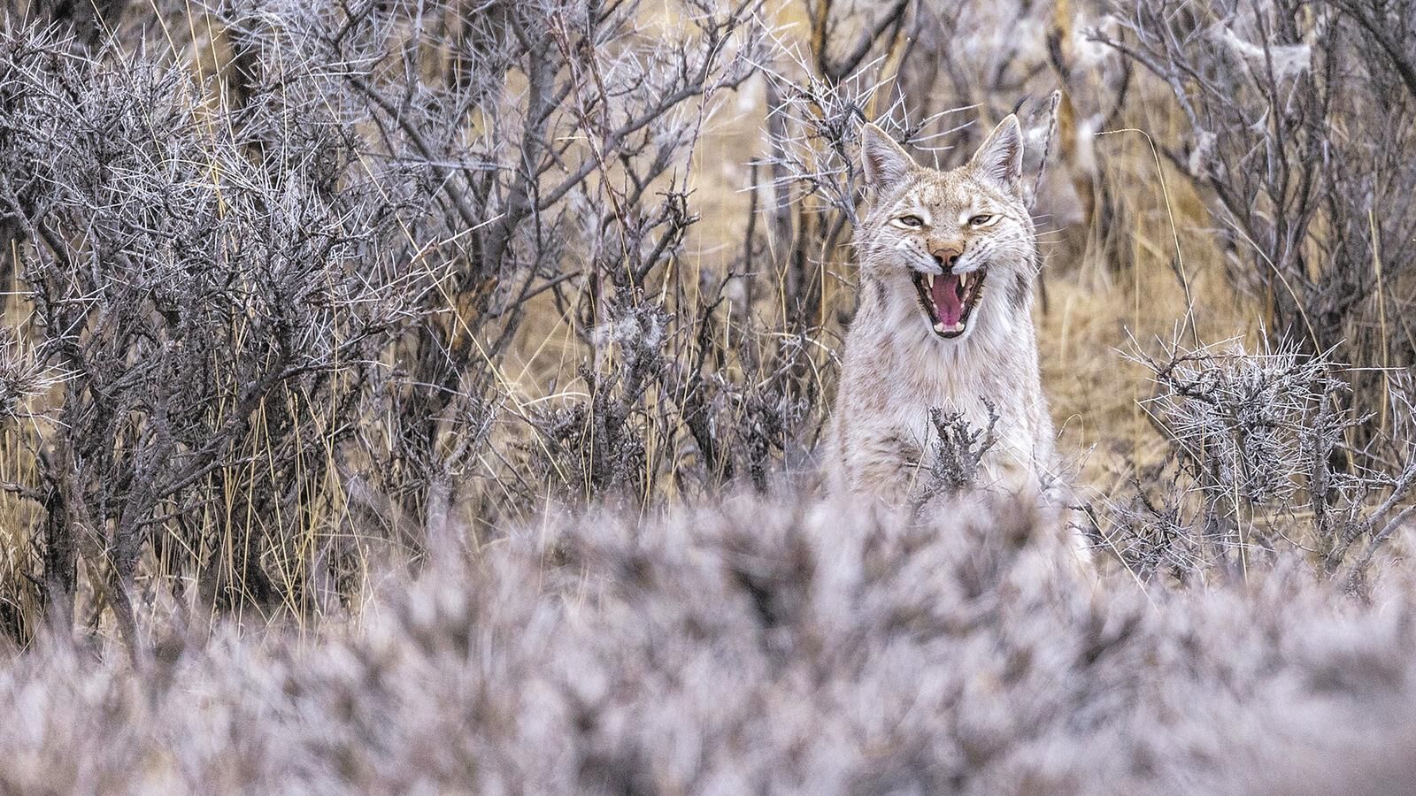 QQ�DƬ20250523060923