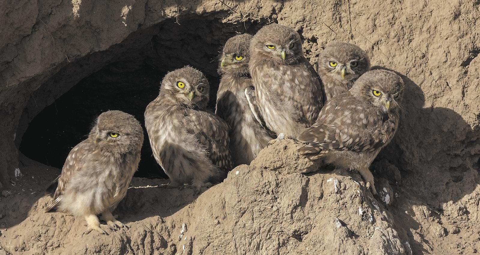 QQ�DƬ20250523061005