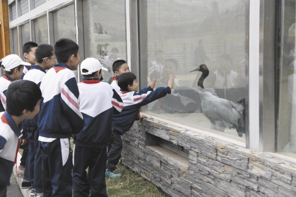 ���^���F���� �ĸ���������Bɽ��ġ������tԺ�� �������M���Bɽ���ҹ��@��