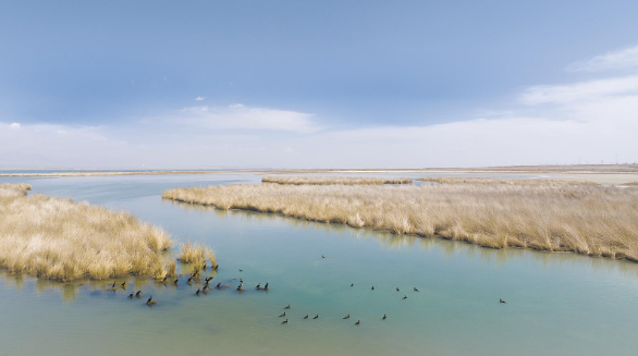 ������һ��(g��)��(m��ng)�롱����һ��(g��)ʡ��(j��)��Ȼ���o(h��)�^(q��)�Ī�(d��)��