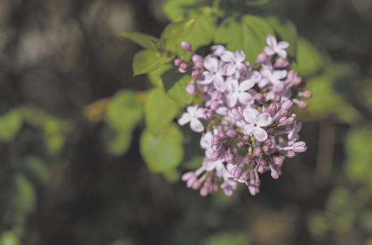 微信圖片_20250526062543