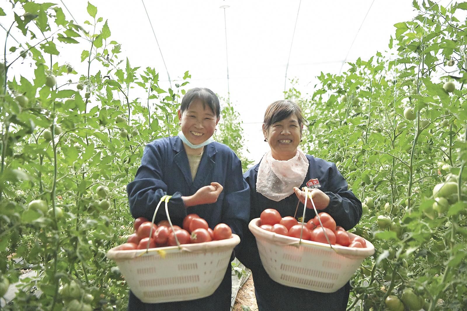 QQ�DƬ20250529055009