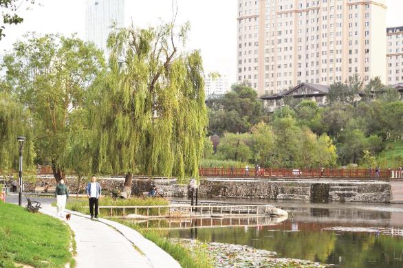 青海西寧:火燒溝的綠色蝶變