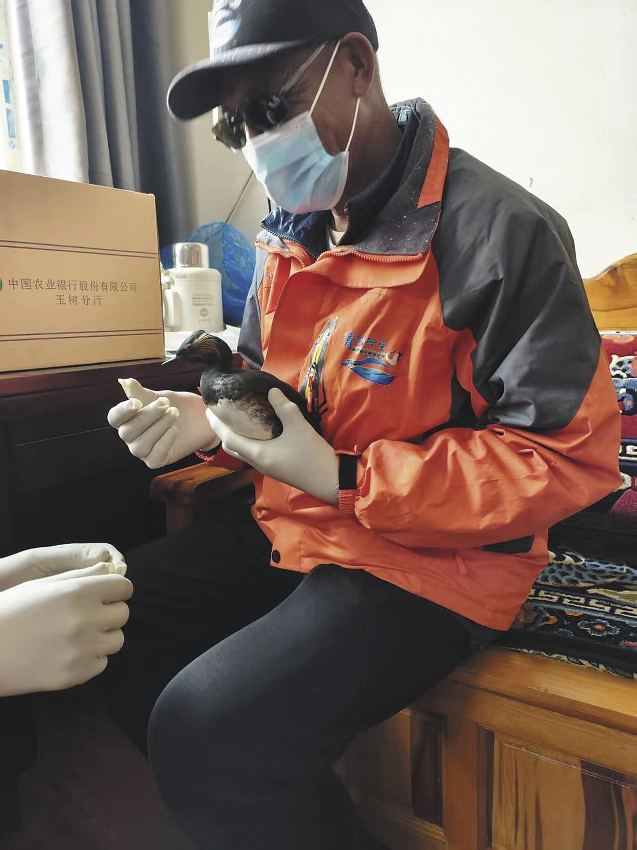 QQ�DƬ20250605060041