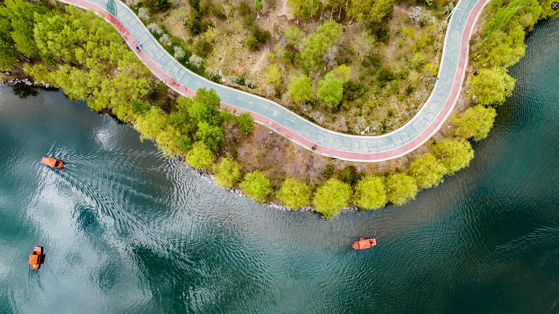 ����h���� | �����Ї�������