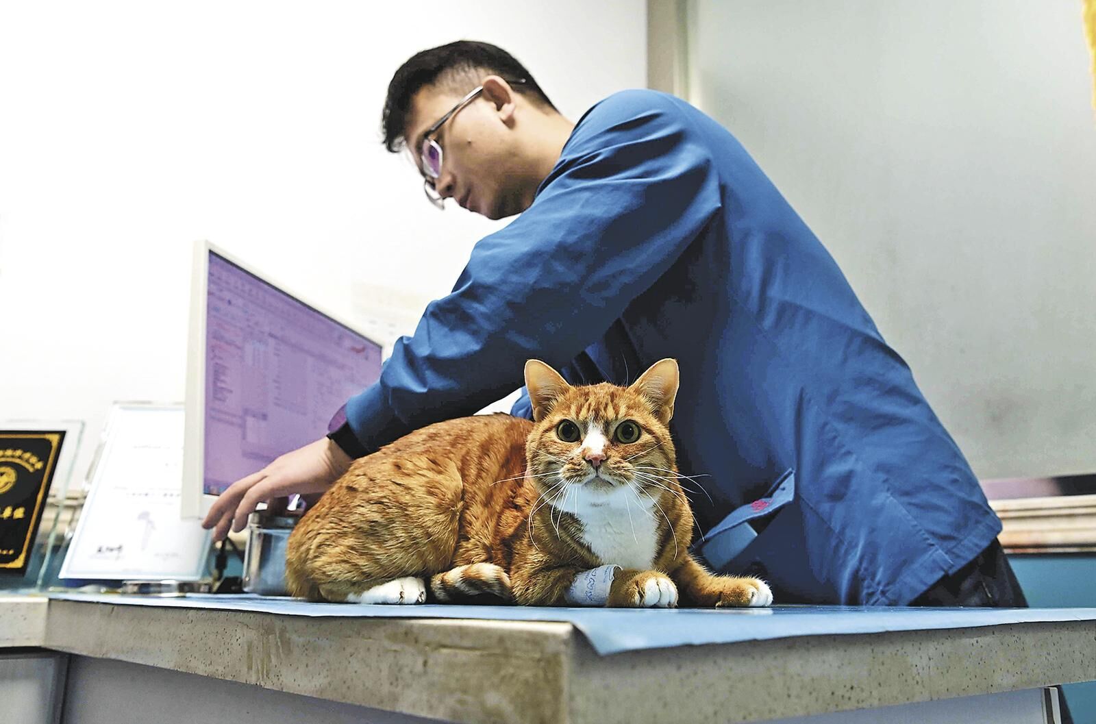 QQ�DƬ20250611060722