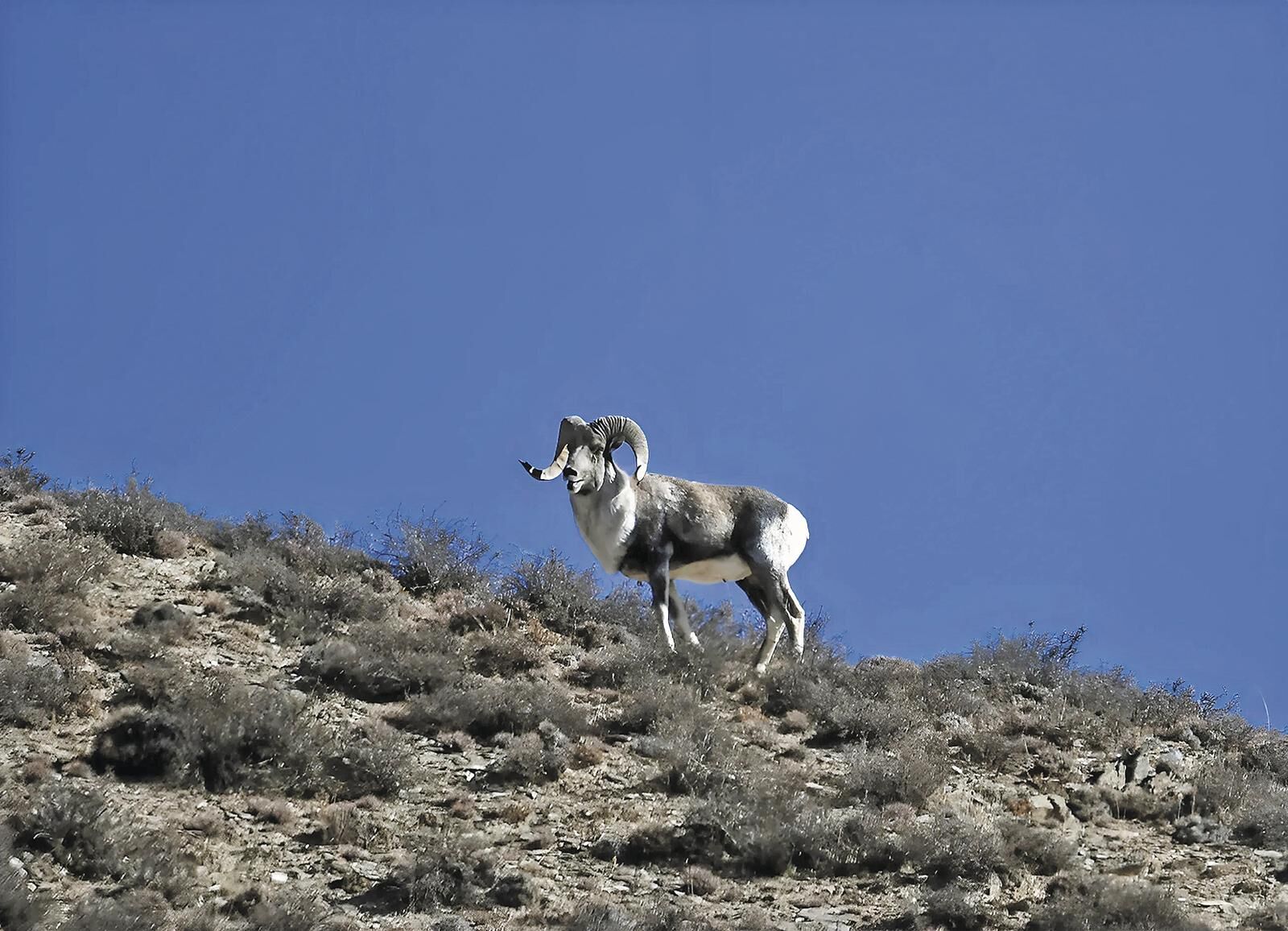 QQ�DƬ20250611062316