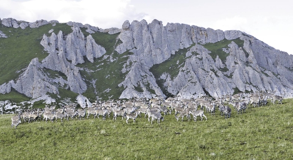 ΢�Ž؈D_20250616064914