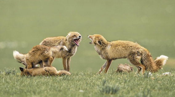 ΢�Ž؈D_20250616065039