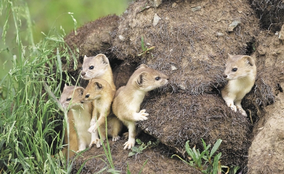 ΢�Ž؈D_20250616065107