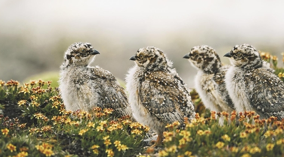 ΢�Ž؈D_20250616065134