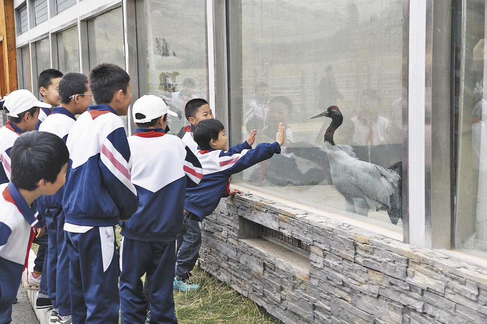 QQ�DƬ20250617061224