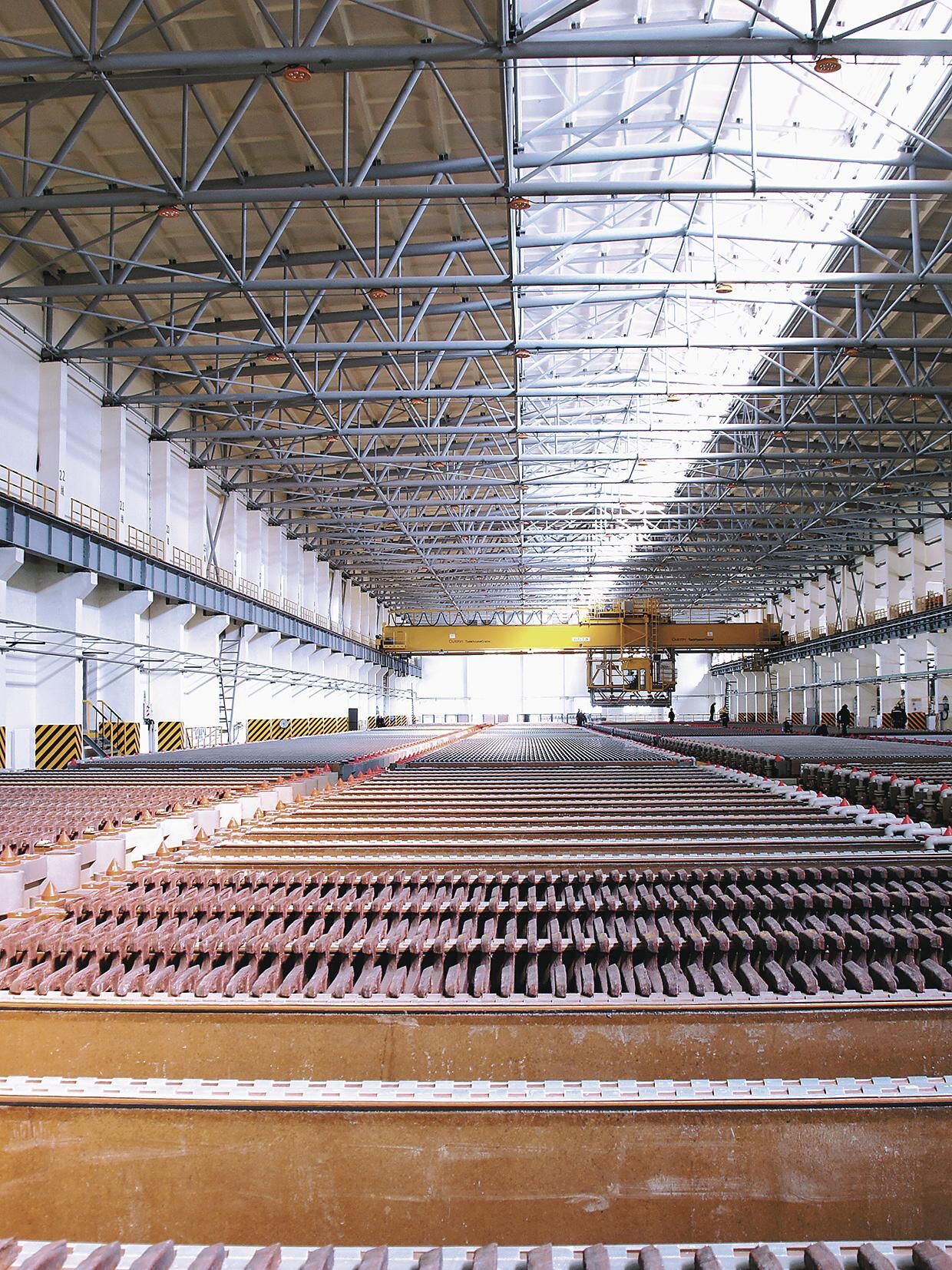 QQ�DƬ20250619063329