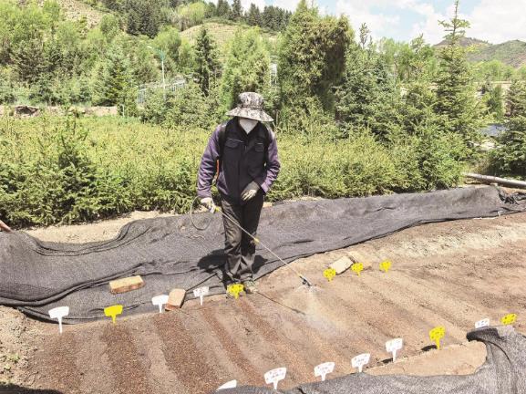 �ຣ��ɼ���B�A��̫�շN���ڴ�ͨ�_ʼ����